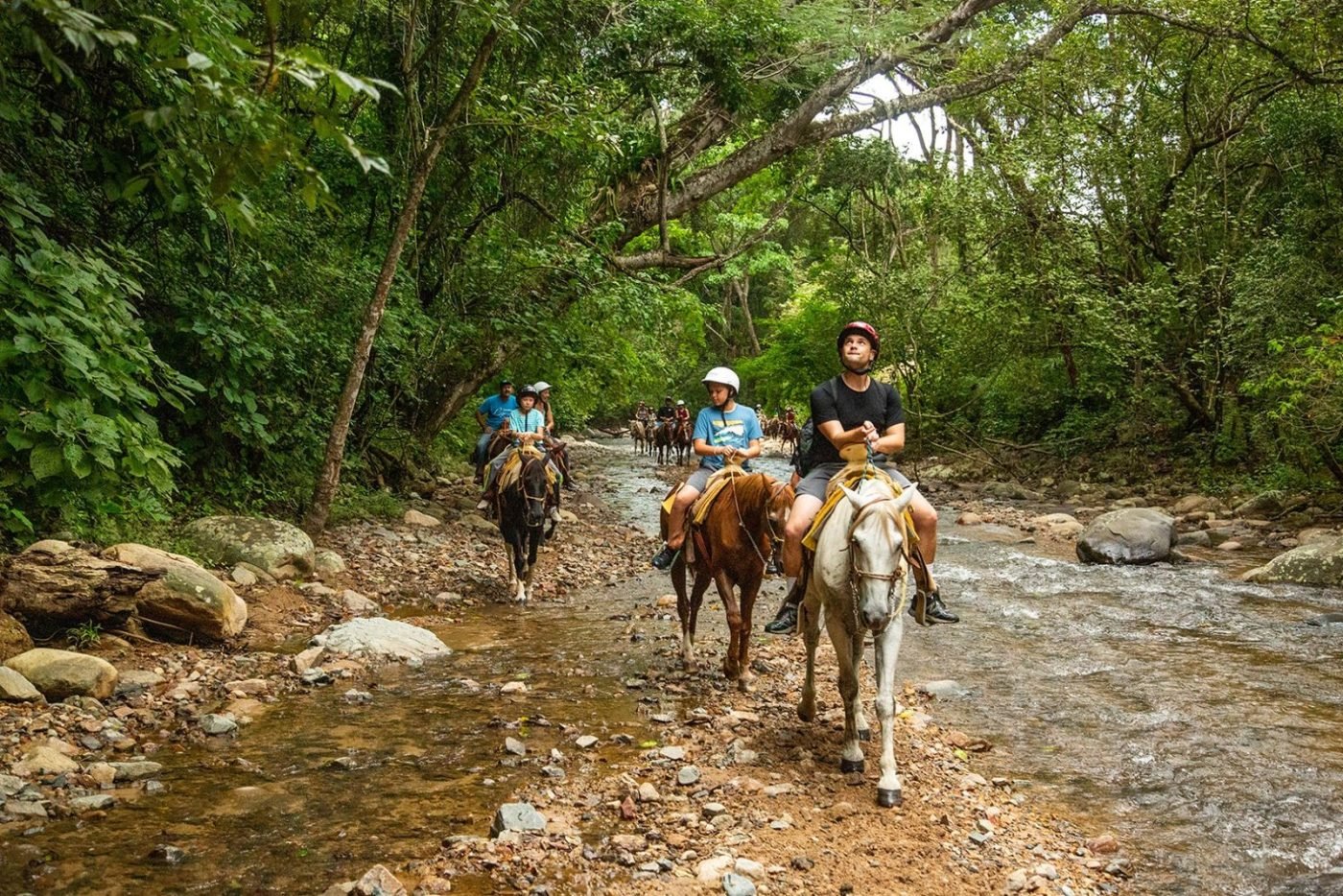 Caminata a la cascada en la Sierra Madre de Puerto Vallarta